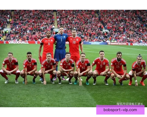 世界杯赛事全面解析与专家投注技巧指南助你赢取大奖